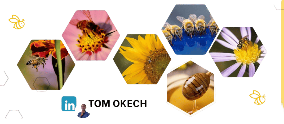 how beekeeping helped finance my studies-1.png